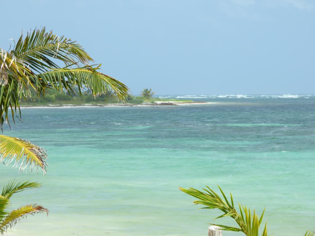 Mayan Beach Garden El Placer Ngoại thất bức ảnh