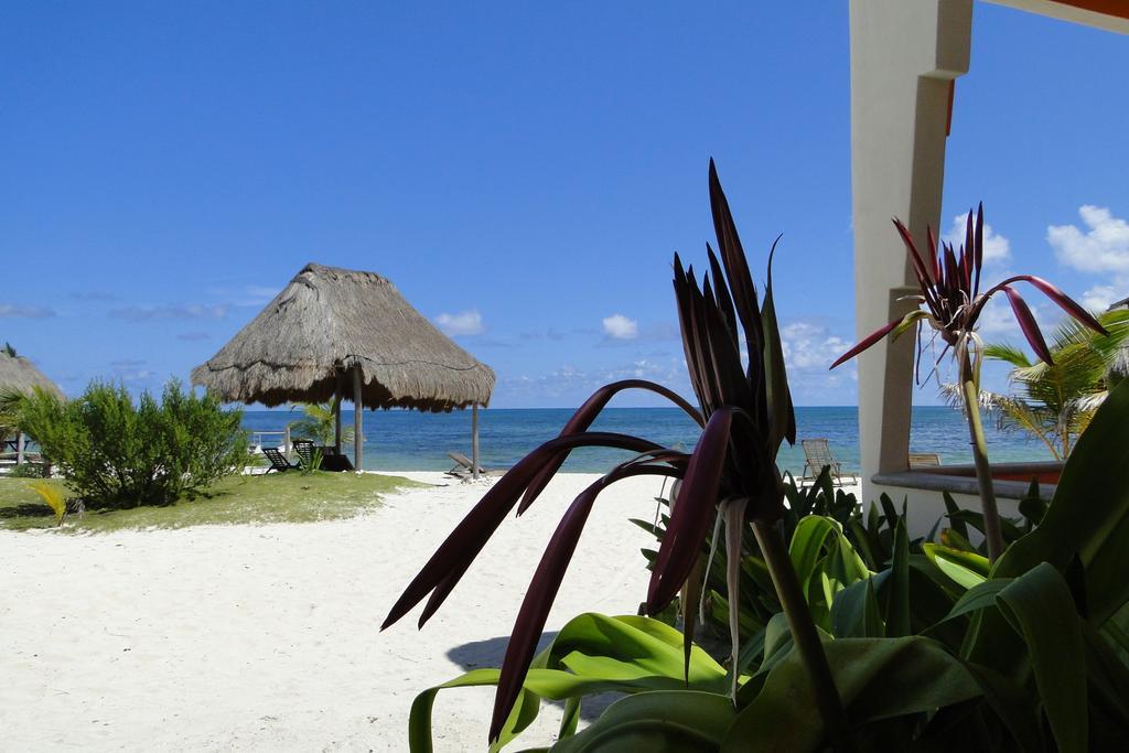 Mayan Beach Garden El Placer Ngoại thất bức ảnh